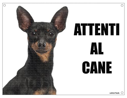 PINSCHER attenti al cane mod 1 TARGA cartello IN METALLO (15X20)