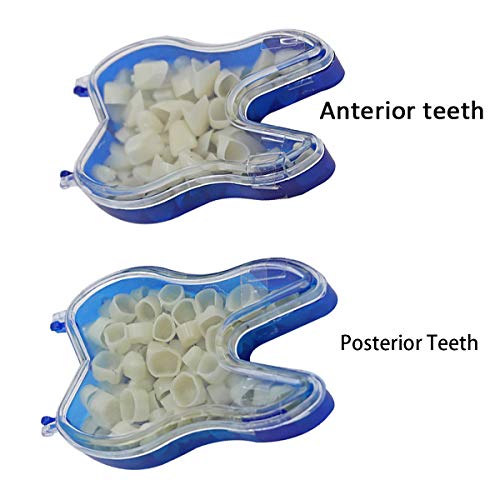 Image of 60 Pcs Dental Temporary Crown Kit Veneers Material for Front Anterior Front Teeth /Posterior Molar Teeth