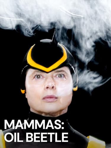 Mammas: Oil Beetle