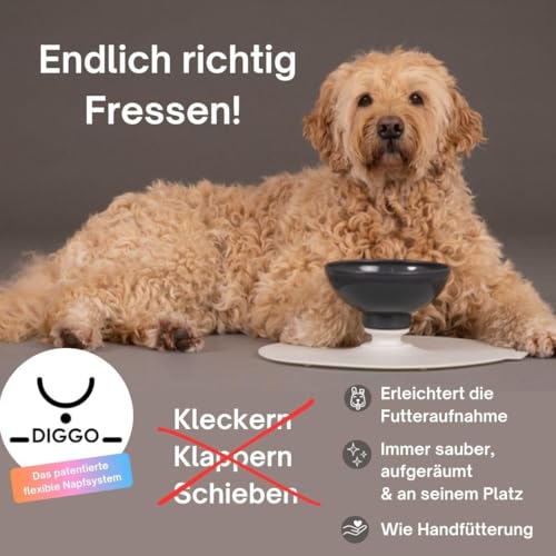 DIGGO - Hunde-Fressnapf 900ml erhöhte Futterschale, Leckkante, flexiblem Gelenk & Unterlage - Lebensmittelechter Kunststoff - Folgt dem natürlichen Essverhalten des Hundes ohne Verschütten (Pink)