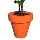 Grandecoracion.com