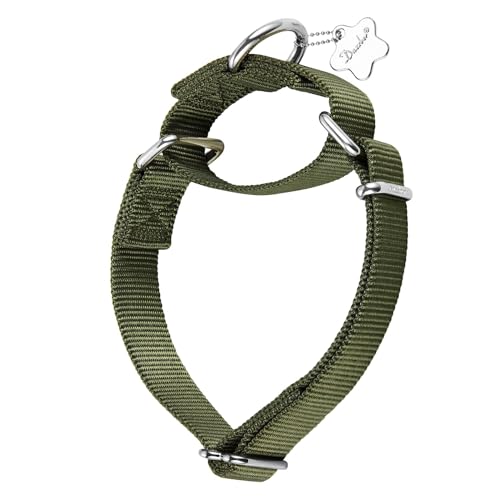 Dazzber Martingale halsbanden voor honden, verstelbare duurzame halsband, effen kleur, nylon halsbanden voor grote, middelgrote of kleine honden (medium (36-53 cm) (pak van 1), militair groen)