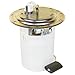 Delphi FG1267 Fuel Module