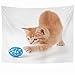 Tapices para colgar en la pared Lindo gatito naranja de peluche Grandes patas de gatito doméstico Jugando animales Juguetón Pequeños objetos de vida silvestre Tapiz Manta de pared Decoración del hogar