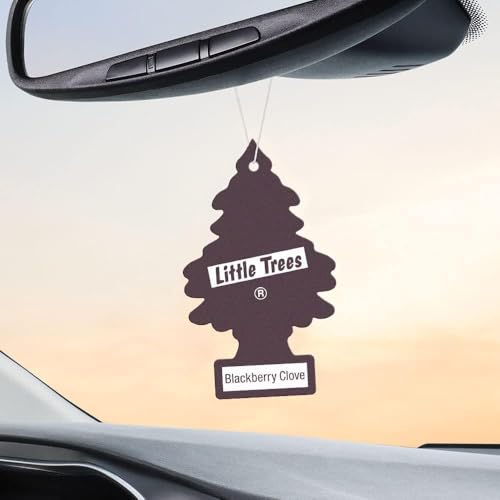 Image of Little Trees Hanging Type Fragrance air fresheners BlackBerry Clove 6 Pieces U6P-67343