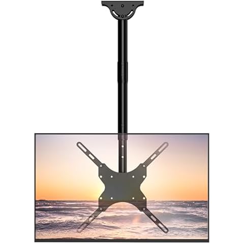 WALI TV Ceiling Mount Cover