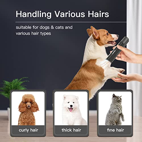 Pet’s Automatic Inhaling Powerful Electric Hair Trimmers with Claw Clipper Kit Quiet Home Grooming Shavers Black Pet’s Automatic Inhaling Powerful Electric Hair Trimmers with Claw Clipper Kit Quiet Home Grooming Shavers Black