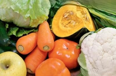 京都 朝採れ 冬野菜セット 6〜8種