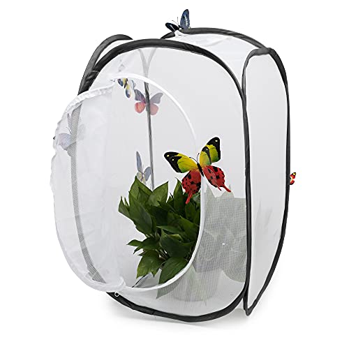 Hyindoor Insekt Und Schmetterling Habitat Käfig Terrarium Schutz Käfig Schwarz