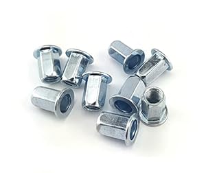 Globstar B1 Blindnietmutter M10 Sechskant 50 Stück