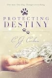 Protecting Destiny (The Destiny Series)