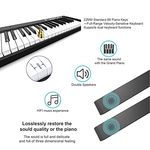 Piano pliant portable 88 touches Bluetooth avec pédale de sustain et étui de transport - Les Beatles, Paul McCartney, John Lennon, RIngo Starr, George Harrison Piano pliant portable 88 touches Bluetooth avec pédale de sustain et étui de transport – Image 4