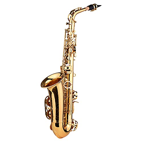 E Flat Alto Saxophone Eb Key Brass Gold Lacquer With Hard Case Cleaning Brush Cleaning Cloth Wind Accessories #TOP23