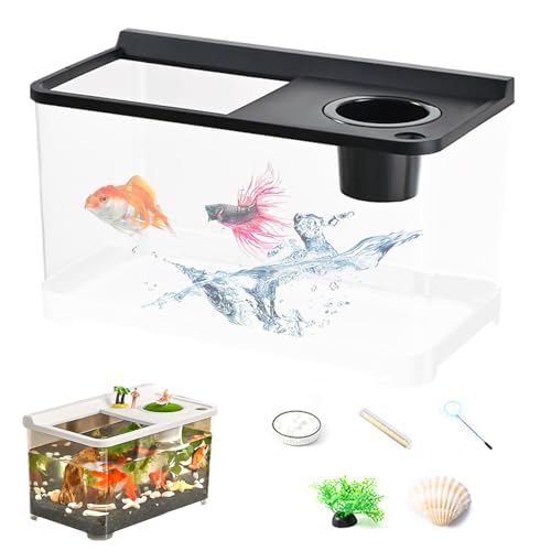 Keyubria Aquarium Petit 20 cm avec 3 Lumières Colorées | Bac à Poissons Domestique | Aquarium Haute Transparence 360° pour Bureau Table Chambre Salon Entrée Décoration