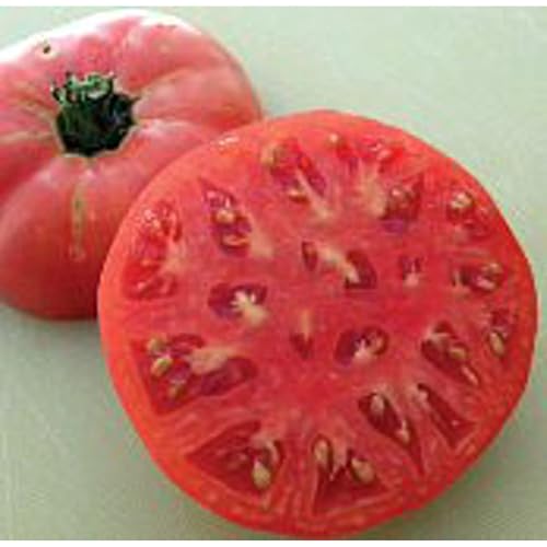 Brandywine Sudduth Tomato Seeds (40) for Garden & Greenhouse