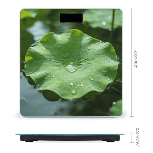 Báscula digital para baño hoja Lotus Verde 400lb miniatura 2