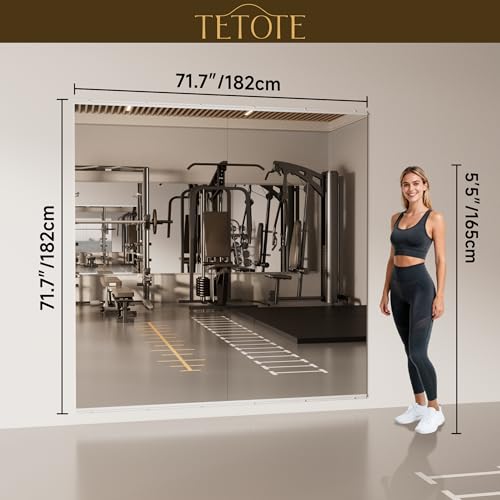 AI Smart Fitness Mirror Trainer
