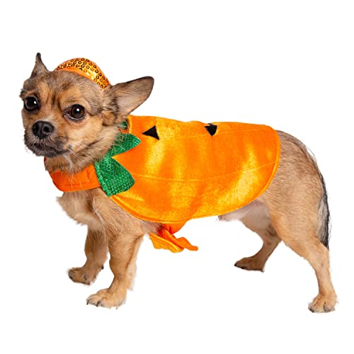 Disfraz de Calabaza para Perro Pequeño PET KREWE miniatura 6
