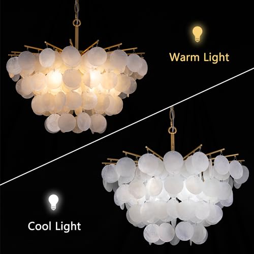 TOCHIC Capiz Shell Chandelier, 6 Light Modern Coastal Light Fixture for Bedroom Gold Chandelier for Dining Room Living Room Nature Seashell Pendant Light Fixture for Kitchen, Foyer, Entryway 22" - Image 6