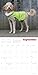 Shakespeare's Globe: Dogs in Ruffs Wall Calendar 2026 (Art Calendar)