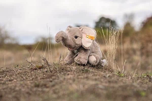 yui.elephantです！テディベア　ゾウ Amazon.co.jp: シュタイフ(Steiff) ゾウのエディー Steiff Edie