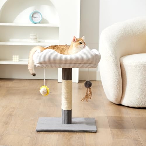 Gardner Pet 20" Cat Tree, Solid Wood Small Cat Tree with Cat Scratching-Posts & Hanging Toys for Kittens(Grey, Circle-Corduroy)