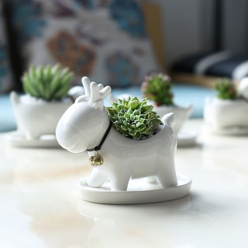 Pots de fleurs décoratifs en céramique pour succulentes