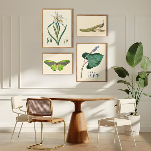 crmotu Vintage Framed Wall Art, Flower Leaf Botanical Prints, Minimalist Floral Watercolor Canvas Pictures, Nature Plant Paintings Wall Decor Living Room Bedroom Bathroom Home Office, 16x24 inch