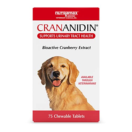 Nutramax Laboratories Crananidin Cranberry Extract Urinary Tract Health...