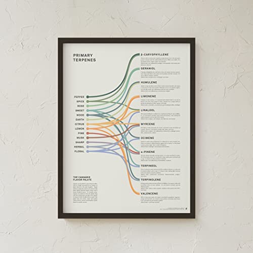 Goldleaf Primary Terpenes Art Print: The Cannabis Flavor Palate Infographic Chart, Terpene Poster, Marijuana Flavors Infographic, Elevated Stoner Decor, Weed Chart Wall Art (18X24) #TOP5