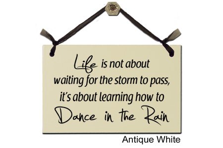 Funny, Humorous Signs: Life is not About Waiting for The Storm to Pass, It's About Learning How to Dance in The rain