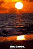 Notebook: A Picture Taken Of Two Birds Enjoying The Beach , Journal for Writing, College Ruled Size 6