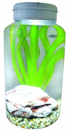 Lucky Reptile IT-5 InsectTarrium 5 l, huisdier klein rarium voor de eerste instap in het terraristiek - Afbeelding 5