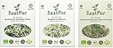 SaatPur