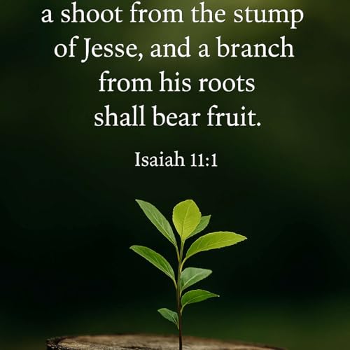 Advent Devotional 7: The Stump of Jesse - Isaiah 11:1