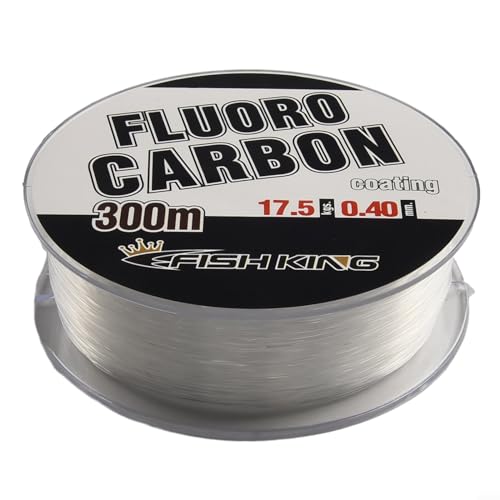 HEIBTENY Sedal de pesca de fluorocarbono de 300 m, 0,3 – 0,5 mm, transparente, multiusos, línea de pesca, sedal de pesca, líder, hilo de fibra de carbono (0,4 mm)