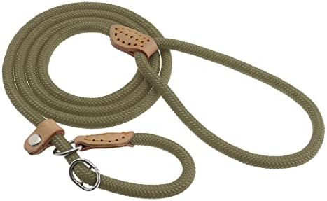 Retrieverleine 150cm Mit Integriertem Halsband - Ruckdämpfende Führungsleine Für Große Hunde