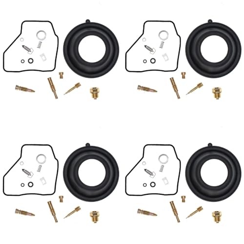 Kit réparation carburateur contre les trous à l'accélération VF500