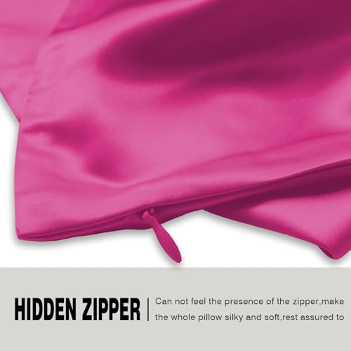 Silk Pillow Cases 2 Pack Soft Breathable and Sliky King Size Pillow Cases Set of 2,Natural Mulberry Satin Silk Pillowcase with Hidden Zipper for Hair and Skin (Hot Pink,20"X 36",2pcs)