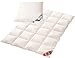 Produktbild Spar Set: Daunendecke Ganzjahres Bettdecke R3 100% Natur 135x200 + Daunen/Feder Kissen Arktic 80x80 cm