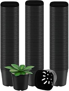 BELLE VOUS 150 Pack Square Plastic Plant Nursery Pots - 6.5 x 6.5 x 6.2cm / 2.5 x 2.5 x 2.4 inches - Durable Flower/Seedling Containers for Succulents, Vegetables, Gardens/Indoors and Seed Starting