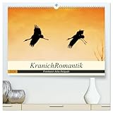 Photo Gallery kranichromantik (hochwertiger premium wandkalender 2026 din a2 quer), kunstdruck in hochglanz: wunderschöne und romantisch kunstvoll gestalte fotografien mit kranichen Photo Gallery kranichromantik (hochwertiger premium wandkalender 2026 din a2 quer), kunstdruck in hochglanz: wunderschöne und romantisch kunstvoll gestalte fotografien mit kranichen