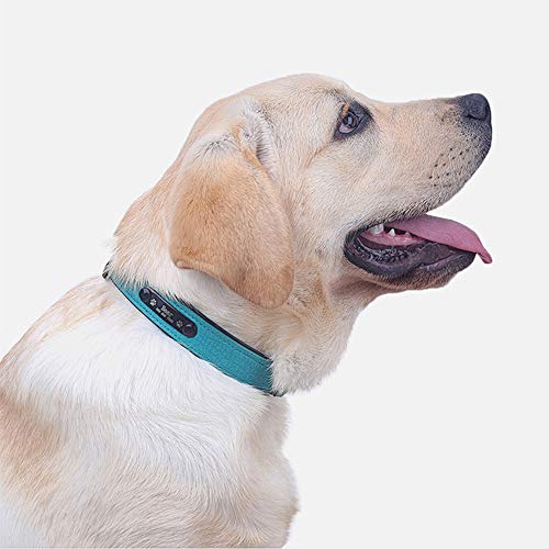 Festnight Transfronteiriça hot new pet collar microfibra de couro PU rotulação colar personalizado c