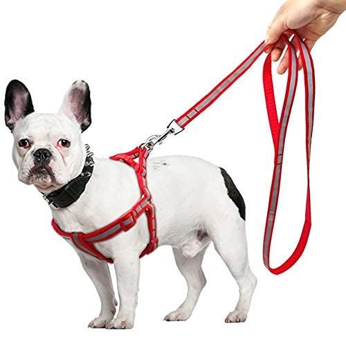 RvPaws Reflective Adjustable Nylon Dog Harness and Leash Set for Puppies and Dogs Reflective Nylon Dog Harness and Leash Set for Puppies and Dogs Nylon Dog Harness and Leash 15mm 15 MM, Color Red pack of 1 (B09P7FKDK9) Amazon Price History, Amazon Price Tracker