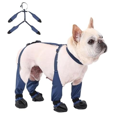 Dog Waterproof Boots, Adjustable Boots for Dogs, Dog Paw Protectors for Small/Medium Dogs, Anti-Slip & Anti-Fall Breathable Dog Shoes Dog Boots Rain Boots, Outdoor Hiking Walking (Large) Cover