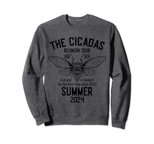 The Cicadas Reunion Tour Verano 2024 Mujer Hombre Sudadera