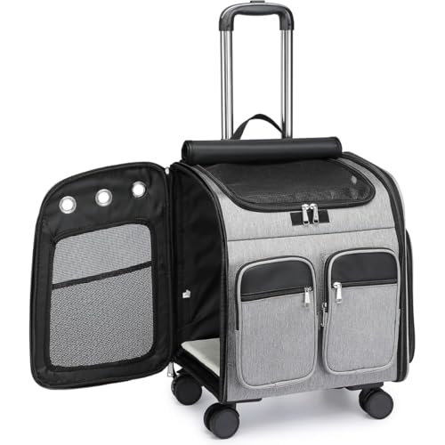 Dlwk  4 in 1 ybgpobNpbŃALX^[ƃbV̒ʋC bNA܂肽ݎŁALƂ̗sAa@ւ̒ʉ@AhЂыً}Ƃs߂̍Lg\ȃXy[X񋟂܂B (O[)