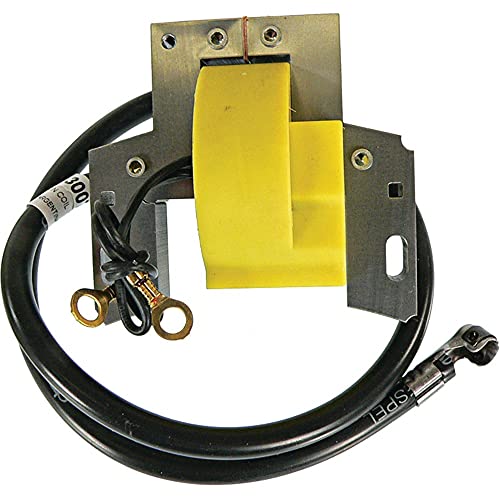 DB Electrical 160-01013 Ignition Coil Compatible with/Replacement for Briggs & Stratton 144000 145000 146000 147000 193000 200400 233400 234400 Engines /298968