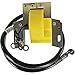 DB Electrical IBS3007 Ignition Coil for Briggs & Stratton 144000 145000 146000 147000 193000 200400 233400 234400 Engines /298968