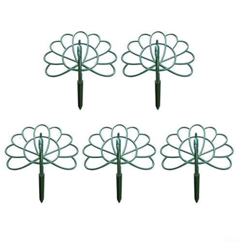 Cinco soportes de soporte para plantas de pavo real con altura ajustable y arcos estructurados para promover un crecimiento saludable y vertical y evitar que el tallo se caiga en macetas